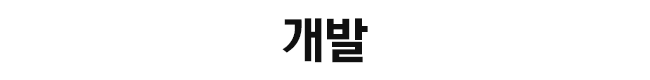 개발